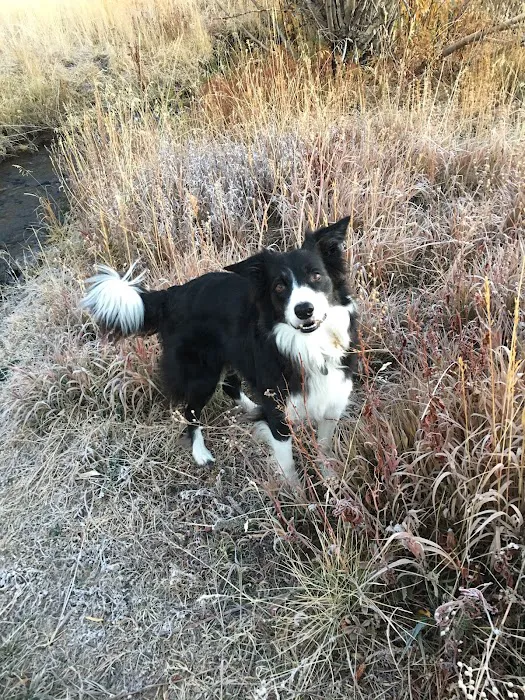 Oso Pet Care Center 12