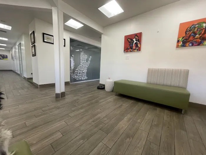 Oso Pet Care Center 12