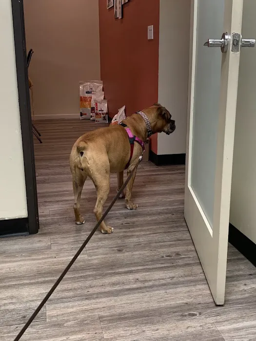 Oso Pet Care Center 12