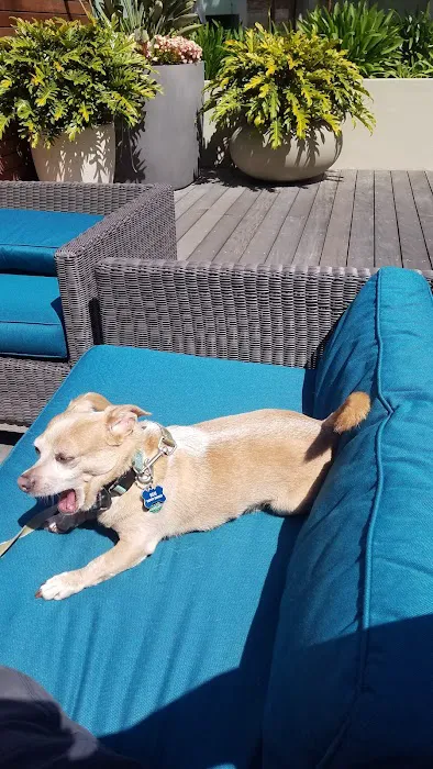 Oso Pet Care Center 12