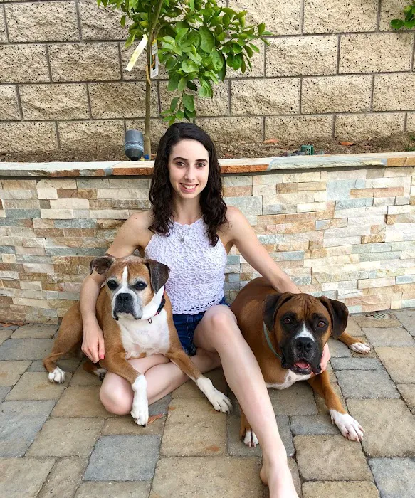 Rancho Viejo Animal Hospital 12