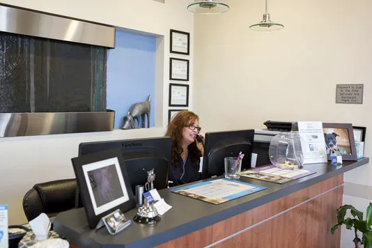 Rancho Viejo Animal Hospital 12
