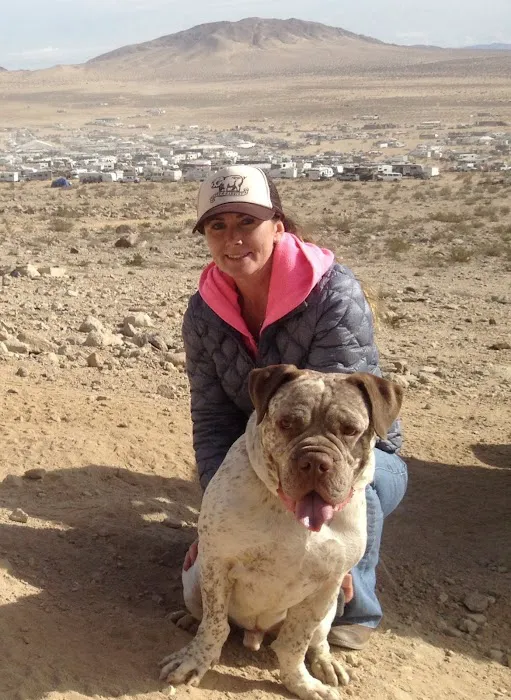 Rancho Viejo Animal Hospital 12