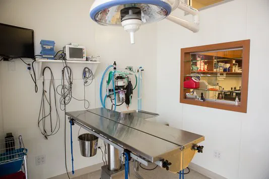 Rancho Viejo Animal Hospital 12