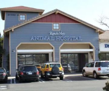 Rancho Viejo Animal Hospital