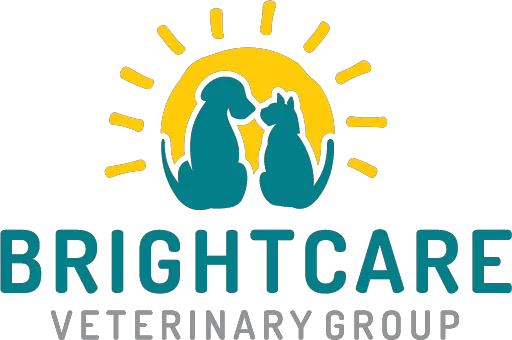 BrightCare Animal ER - Emergency Veterinarian 12