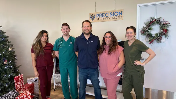 Precision Veterinary Surgery 7