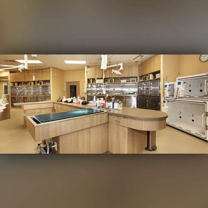 BrightCare Veterinary Group - Animal Neurology & Imaging 10