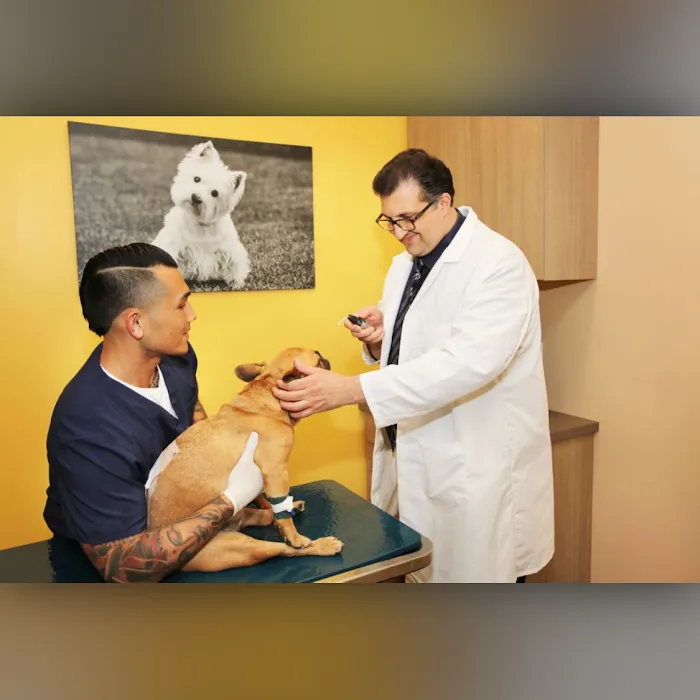 BrightCare Veterinary Group - Animal Neurology & Imaging 9