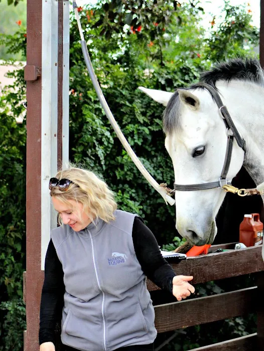 Baileys Equine 12