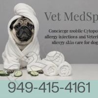 Vet MedSpa ico