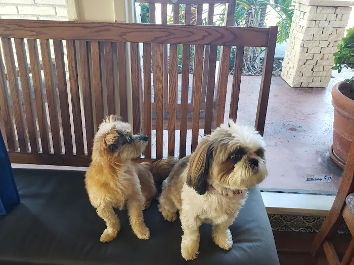 San Juan Animal Hospital 12