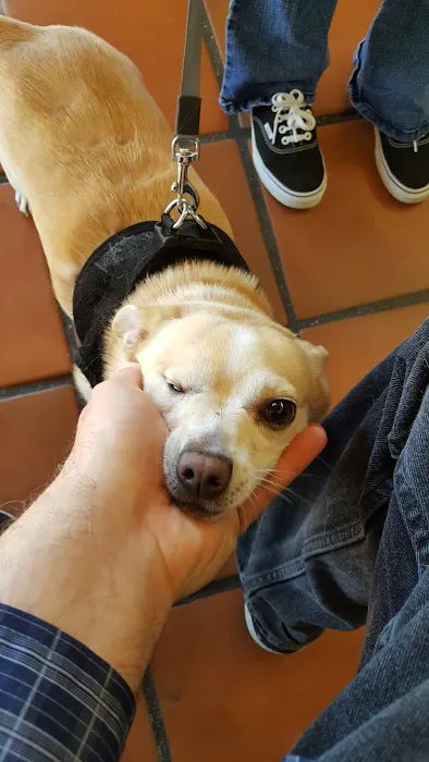 San Juan Animal Hospital 12