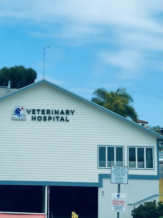 Salt & Sea Veterinary Hospital 7