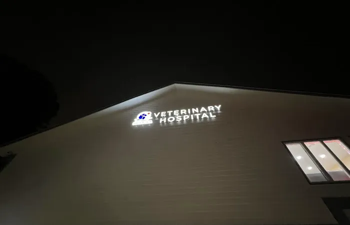 Salt & Sea Veterinary Hospital 6