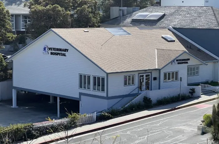 Salt & Sea Veterinary Hospital 8