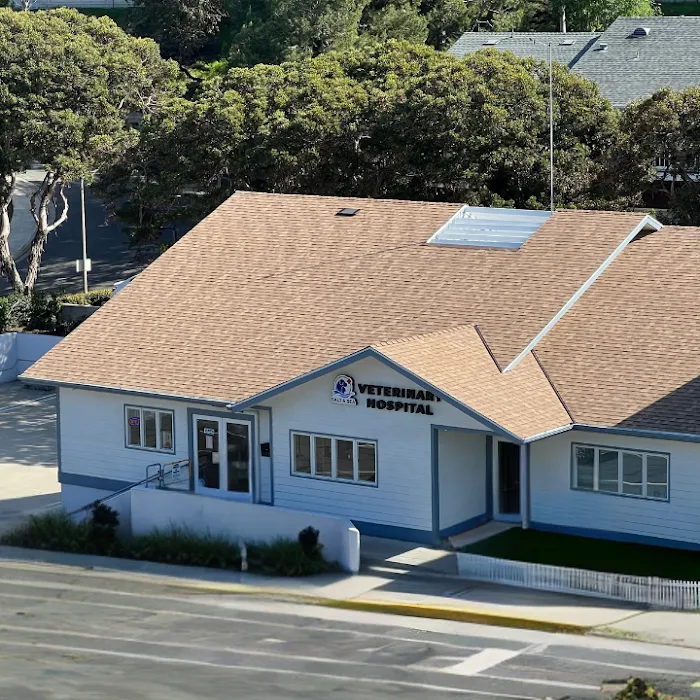Salt & Sea Veterinary Hospital 10