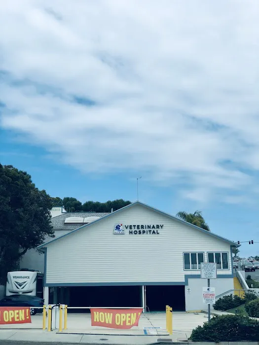 Salt & Sea Veterinary Hospital 9