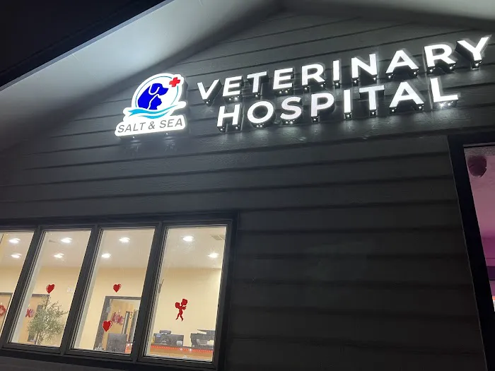 Salt & Sea Veterinary Hospital 3