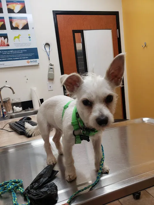 Banfield Pet Hospital 10