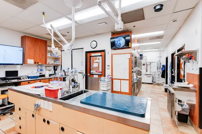 PetSmart Veterinary Services - San Juan Capistrano 1