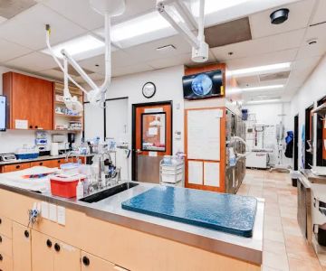 PetSmart Veterinary Services - San Juan Capistrano