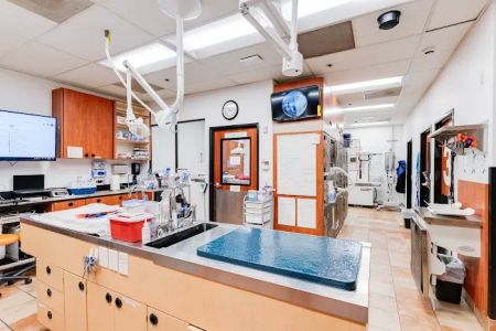 PetSmart Veterinary Services - San Juan Capistrano
