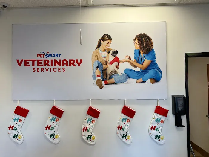 PetSmart Veterinary Services - San Juan Capistrano 9