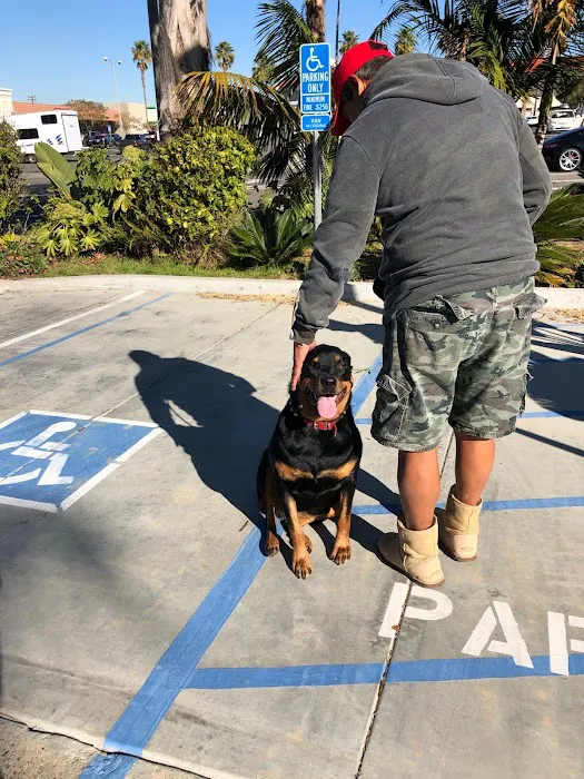 Beachside Animal Hospital and Surgery Centre 1