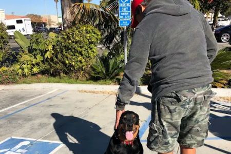 Beachside Animal Hospital and Surgery Centre