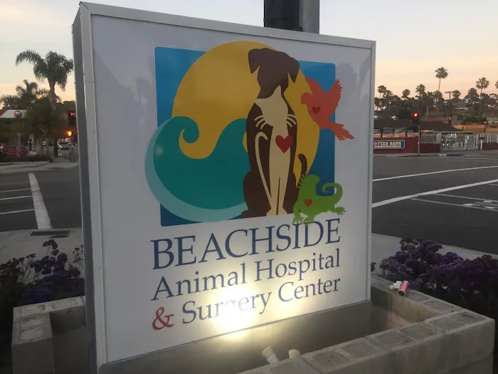 Beachside Animal Hospital and Surgery Centre 4