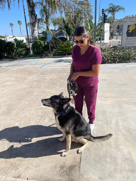 Beachside Animal Hospital and Surgery Centre 7