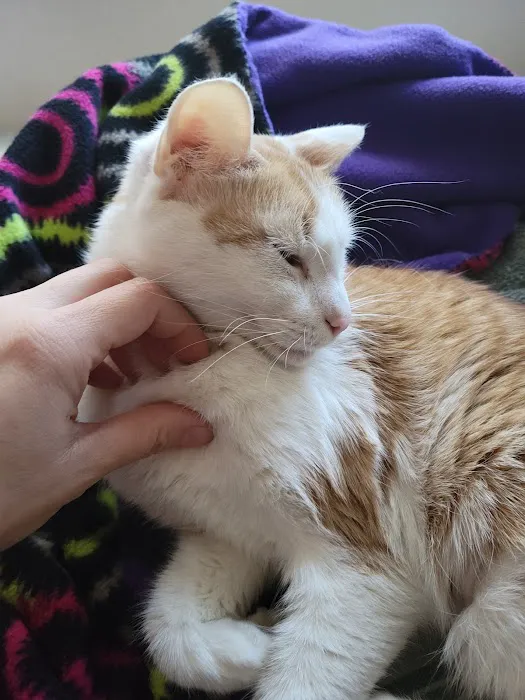 Ortega Animal Care Center 5