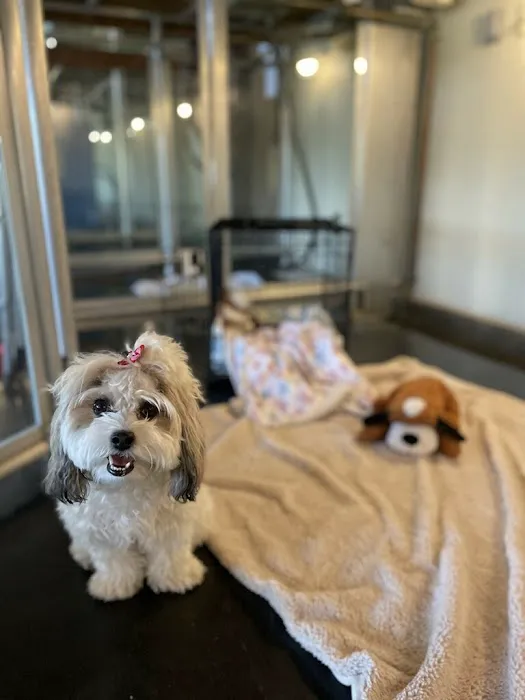 Ortega Animal Care Center 8