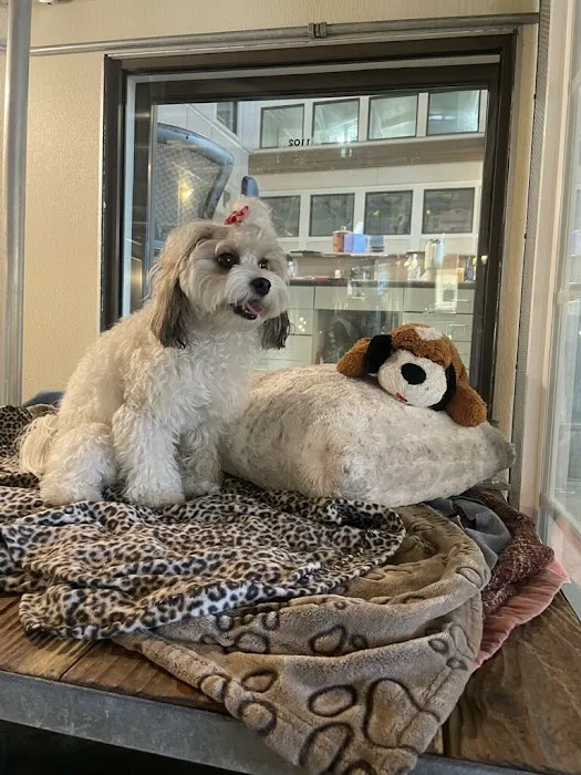 Ortega Animal Care Center 10