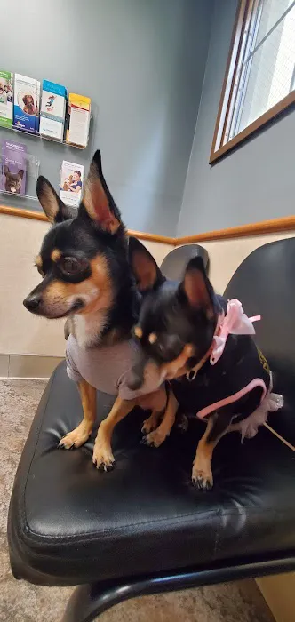 Ortega Animal Care Center 3