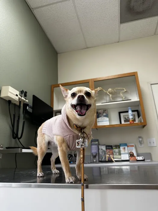 Animal Medical Center of Mission Viejo 2