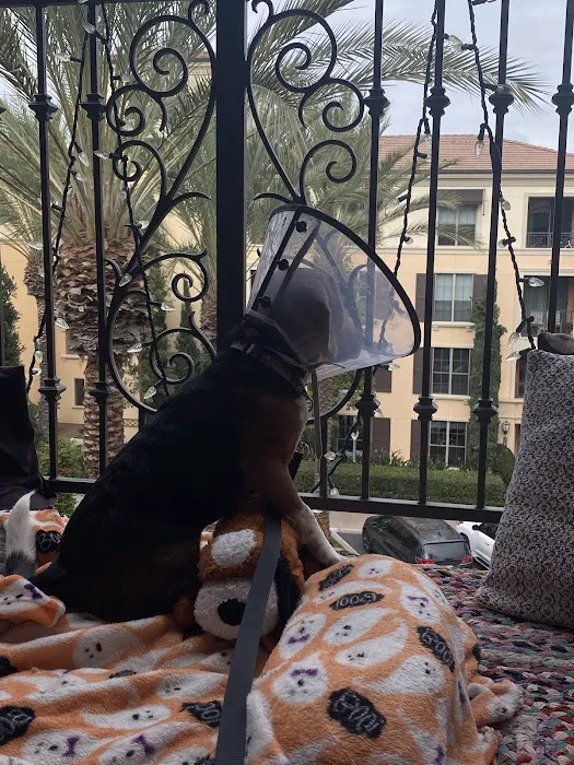 Animal Medical Center of Mission Viejo 8