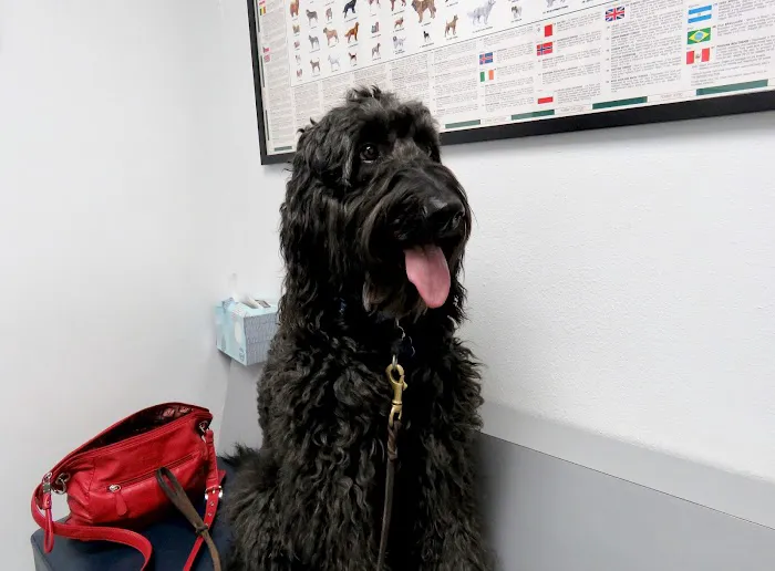 Alisos Animal Hospital 12