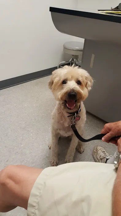 Alisos Animal Hospital 12
