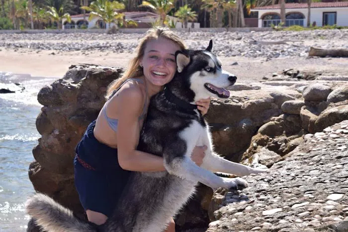 Ladera Ranch Animal Hospital 12