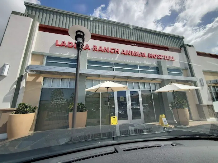 Ladera Ranch Animal Hospital 12