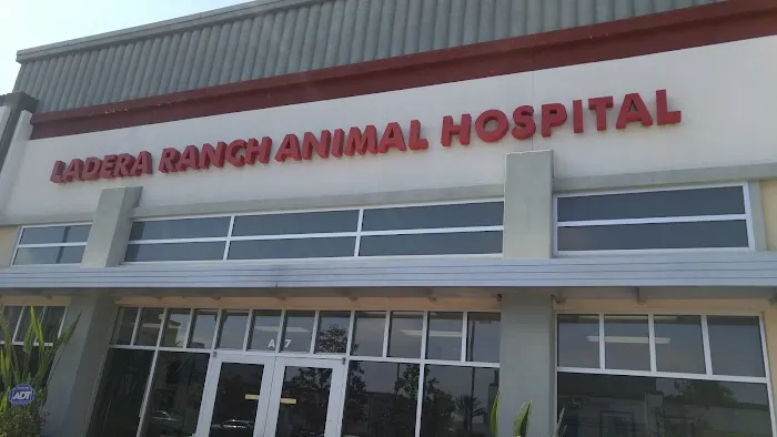 Ladera Ranch Animal Hospital 12