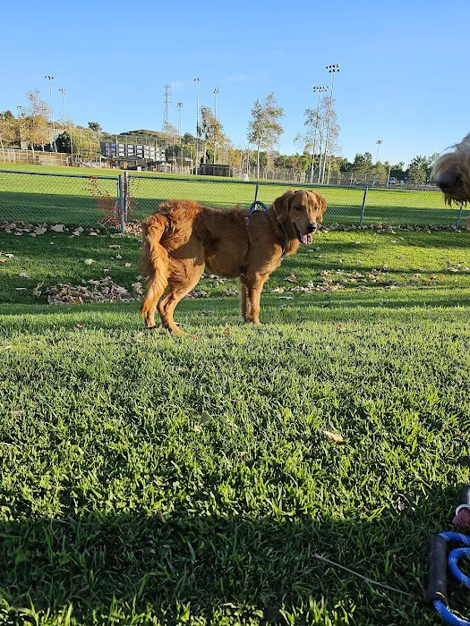 Ladera Ranch Animal Hospital 12
