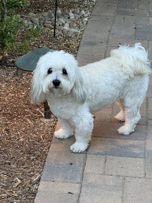 Ladera Ranch Animal Hospital 12