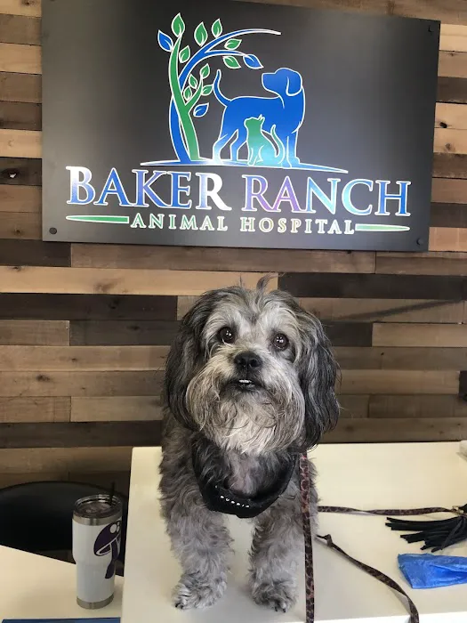 Baker Ranch Animal Hospital 12