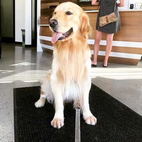 Baker Ranch Animal Hospital 12