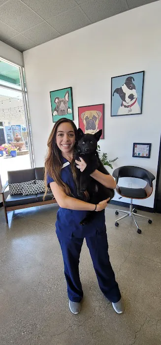 Baker Ranch Animal Hospital 12