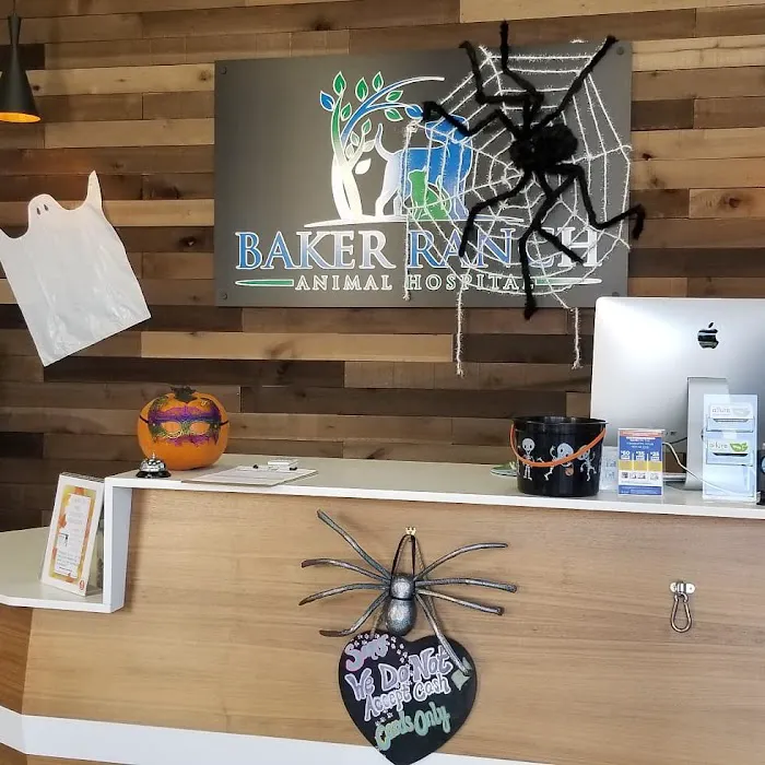 Baker Ranch Animal Hospital 12