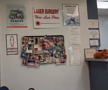 Plaza Pet Hospital